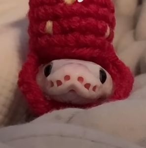 Meet your Posher, Casey